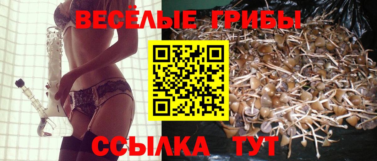 Каменка  Псилоцибиновые грибы прущие грибы  Вход с VPN 