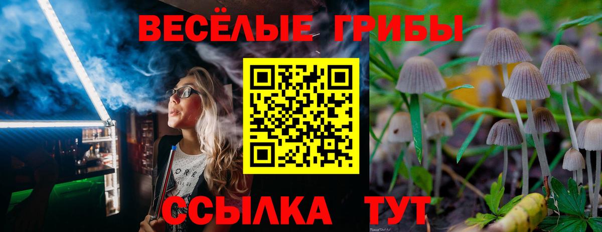 Псилоцибиновые грибы MAGIC MUSHROOMS Каменка